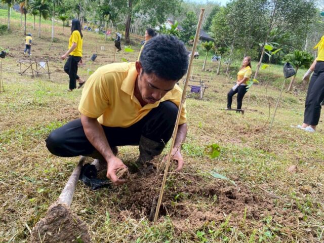 LINE_ALBUM_วันรักต้นไม้_251027_17