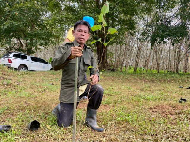 LINE_ALBUM_วันรักต้นไม้_251027_19