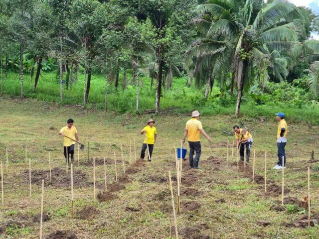 LINE_ALBUM_วันรักต้นไม้_251027_2