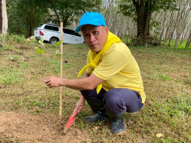 LINE_ALBUM_วันรักต้นไม้_251027_21