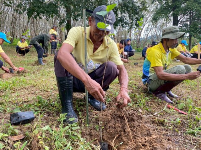 LINE_ALBUM_วันรักต้นไม้_251027_24