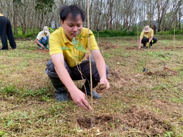 LINE_ALBUM_วันรักต้นไม้_251027_25