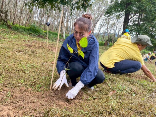 LINE_ALBUM_วันรักต้นไม้_251027_26