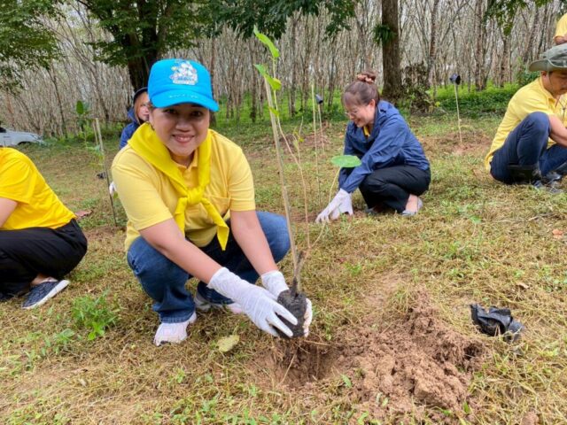 LINE_ALBUM_วันรักต้นไม้_251027_27