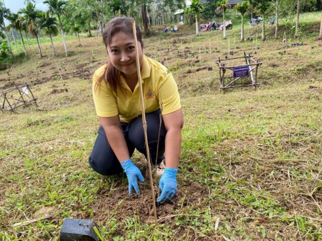 LINE_ALBUM_วันรักต้นไม้_251027_28