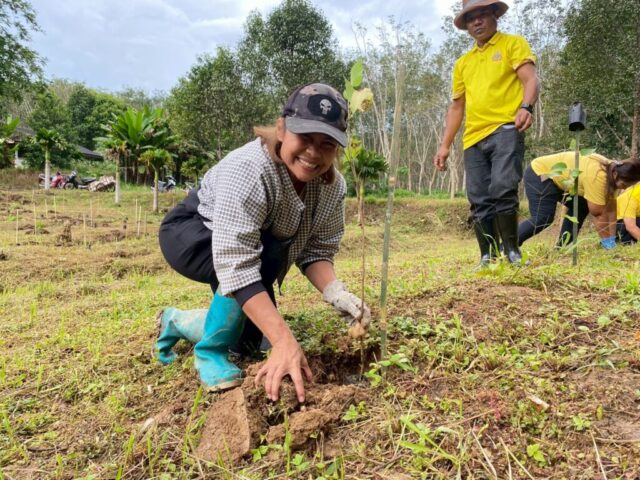 LINE_ALBUM_วันรักต้นไม้_251027_29