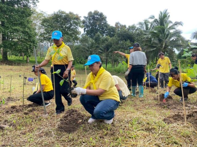 LINE_ALBUM_วันรักต้นไม้_251027_3