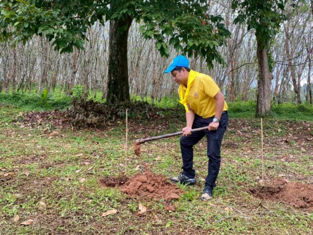 LINE_ALBUM_วันรักต้นไม้_251027_30