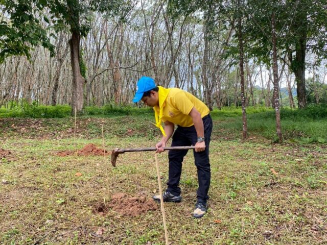 LINE_ALBUM_วันรักต้นไม้_251027_31