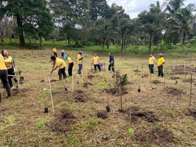 LINE_ALBUM_วันรักต้นไม้_251027_33