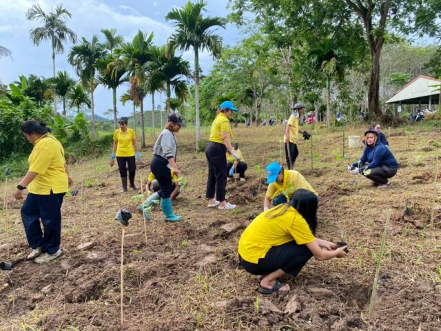 LINE_ALBUM_วันรักต้นไม้_251027_4