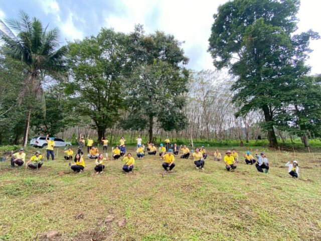 LINE_ALBUM_วันรักต้นไม้_251027_6