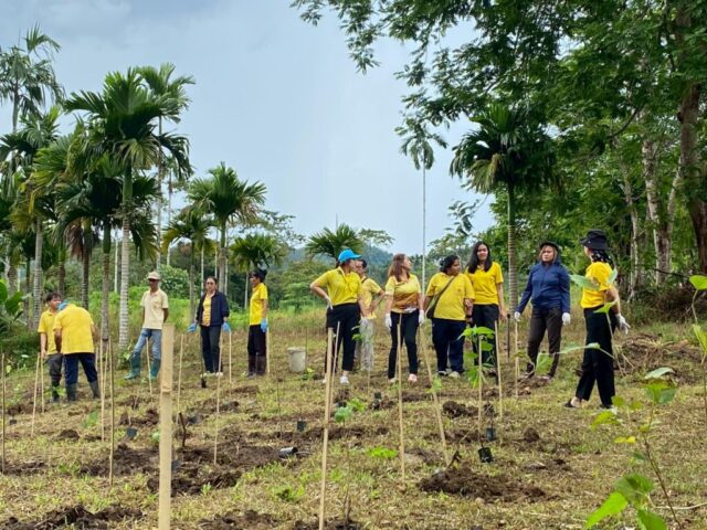 LINE_ALBUM_วันรักต้นไม้_251027_7