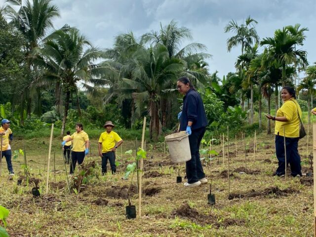 LINE_ALBUM_วันรักต้นไม้_251027_8