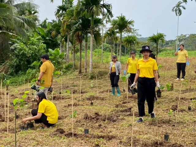 LINE_ALBUM_วันรักต้นไม้_251027_9