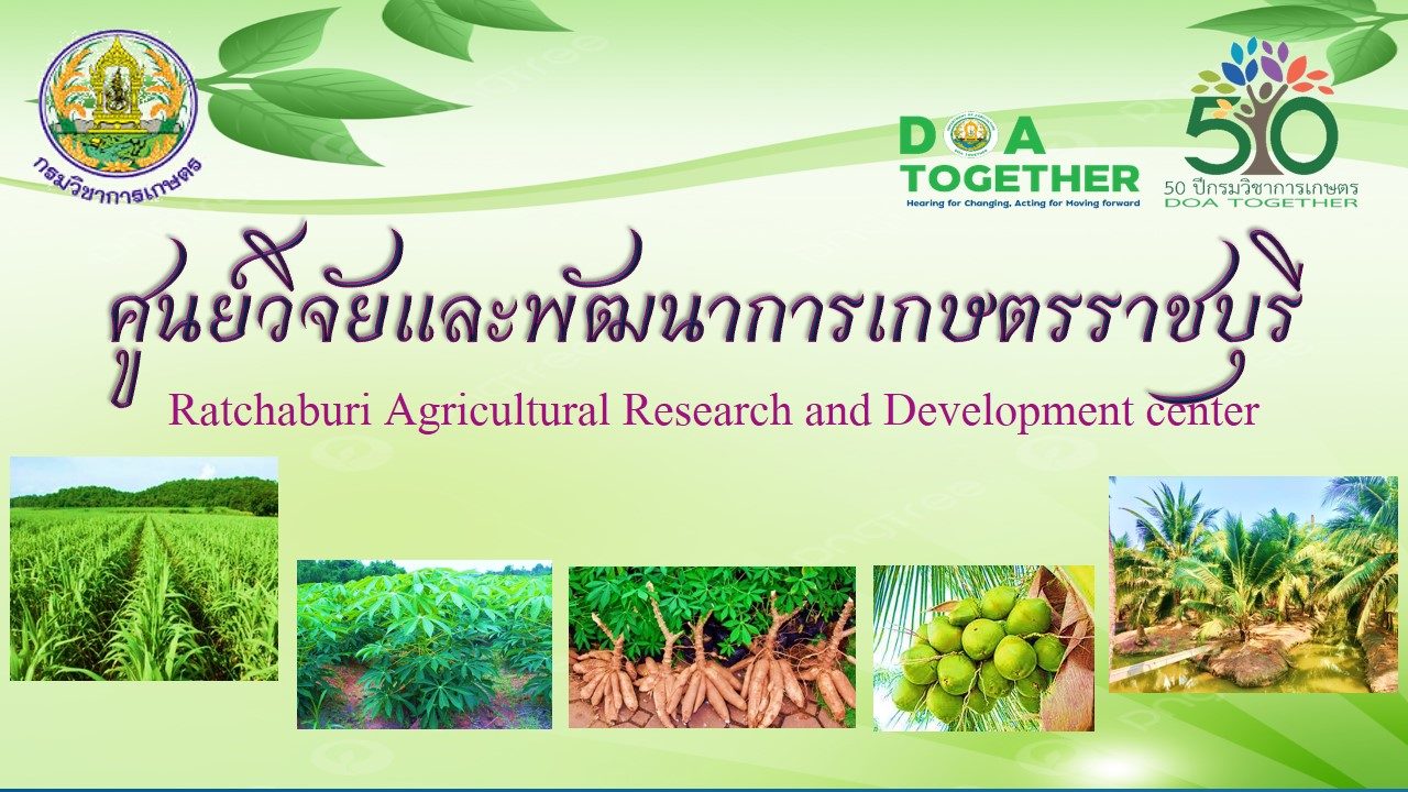 ศูนย์วิจัยและพัฒนาการเกษตรราชบุรี
