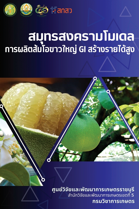 สมุทรสงครามโมเดล_c_pagenumber.001