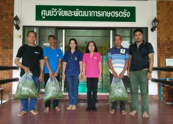 ร่วมต้อนรับเกษตรกรปลูกผักปลอดภัย จากอำเภอนาโยง