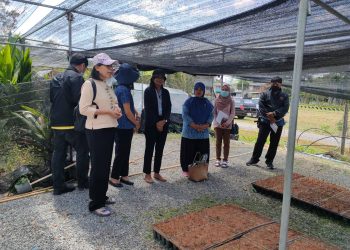 ศวพ. ตรัง เข้าร่วมประชุมวิจัยผู้ตรวจคุณภาพแปลงเพาะกล้าและเจ้าหน้าที่ที่เกี่ยวข้องกับการผลิตพันธุ์ปาล์มน้ำมัน เพื่อจัดทำฐานข้อมูลการผลิตและการนำเข้าพันธุ์ปาล์มน้ำมันและระบบการผลิตพันธุ์ปาล์มน้ำมันภายในประเทศไทย