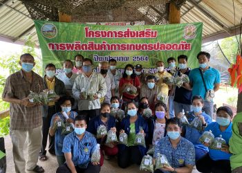 ศวพ. ตรัง จัดอบรมถ่ายทอดเทคโนโลยีการผลิตด้านการเกษตรที่ถูกต้อง ภายใต้โครงการการส่งเสริมการผลิตสินค้าเกษตรปลอดภัย