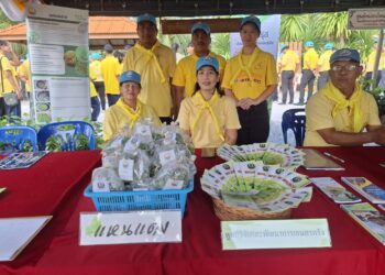 จังหวัดตรังจัดกิจกรรมจิตอาสานักเรียนทุนพระราชทาน ม.ท.ศ. ร่วมกับ ชุมชน และภาคีเครือข่าย “เราทำความดี ด้วยหัวใจ” ร่วมพัฒนาโรงเรียนหาดสำราญ