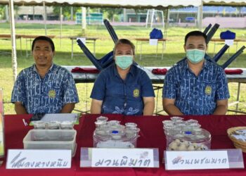 จังหวัดตรัง จัดโครงการหน่วยบำบัดทุกข์ บำรุงสุข สร้างรอยยิ้มให้ประชาชน ครั้งที่ 7 ประจำปีงบประมาณ 2568