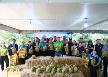 ศวพ.ตรัง ร่วมเปิดงานวันเก็บเกี่ยวทุเรียนเมืองพระยารัษฎา ที่สวนทุเรียนนายวิชาญ ศรีอ่อน ตำบลเขากอบ อำเภอห้วยยอด จังหวัดตรัง