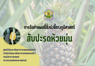 การจัดทำแผนที่สิ่งบ่งชี้ทางภูมิศาสตร์ สับปะรดห้วยมุ่น
