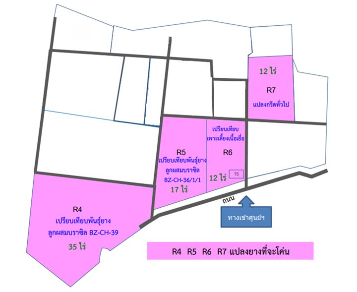 แผนที่แปลงยาง