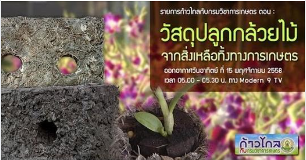 วัสดุปลูกกล้วยไม้จากสิ่งเหลือทิ้งทางการเกษตร