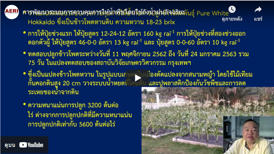 การพัฒนาระบบการควบคุมการให้น้ำพืชโดยใช้ถังน้ำฝนอัจฉริยะ