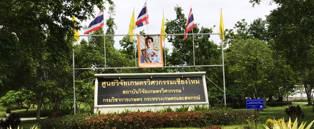 ภาพแนะนำ