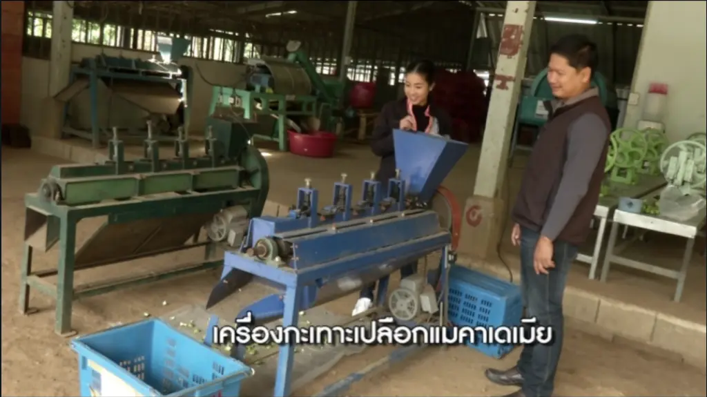 เครื่องจักรกลเกษตรสำหรับมะคาเดเมีย