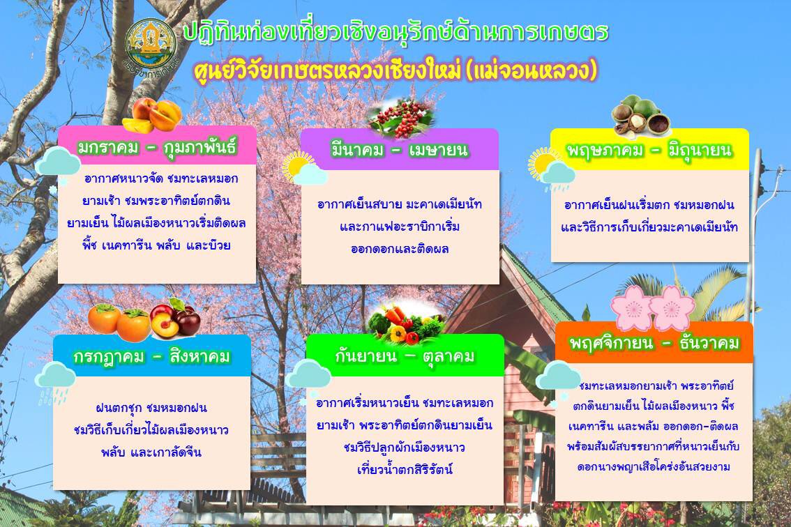 ปฏิทินท่องเที่ยว ศูนย์วิจัยเกษตรหลวงเชียงใหม่(แม่จอนหลวง)