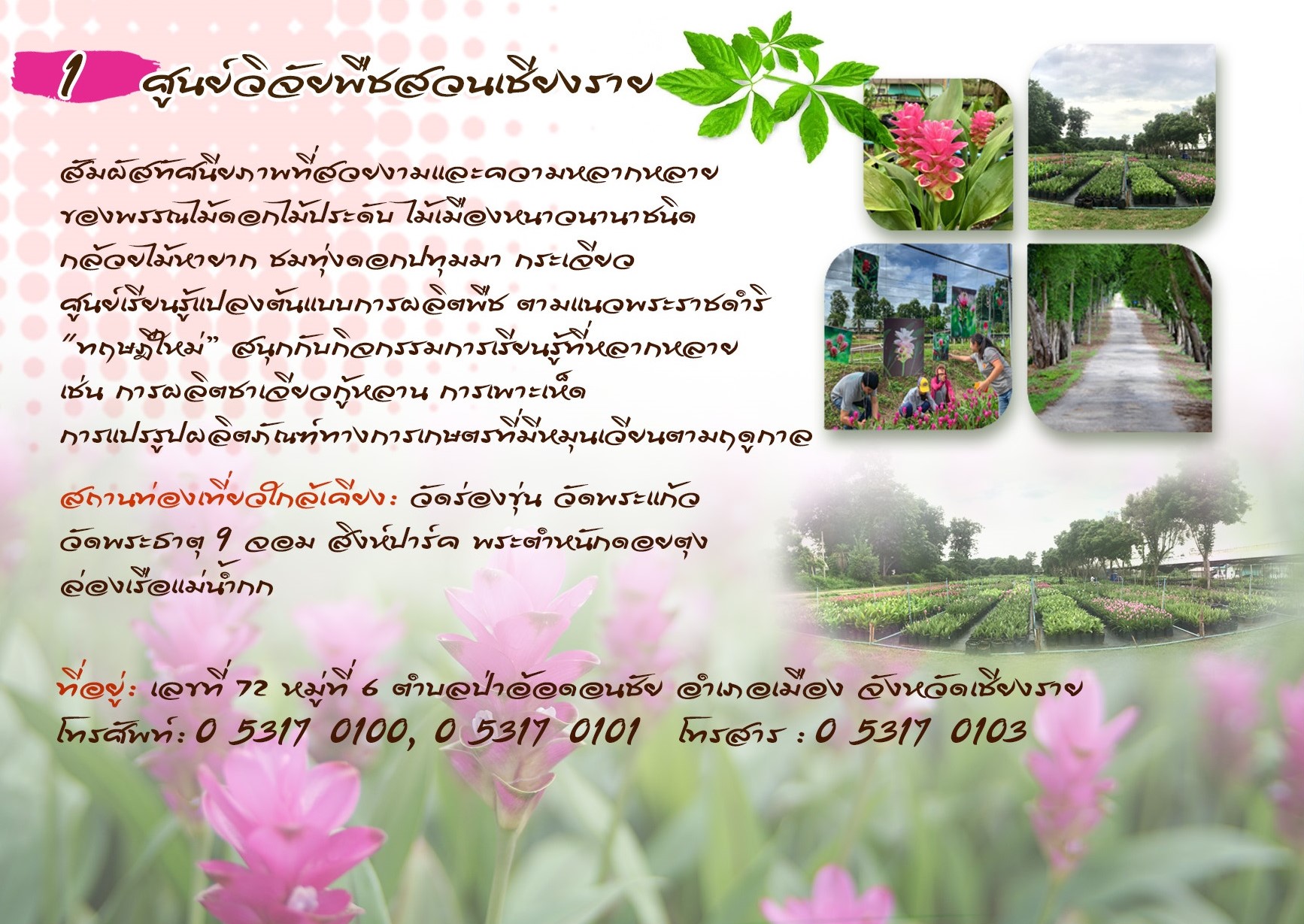 ศูนย์วิจัยพืชสวนเชียงราย