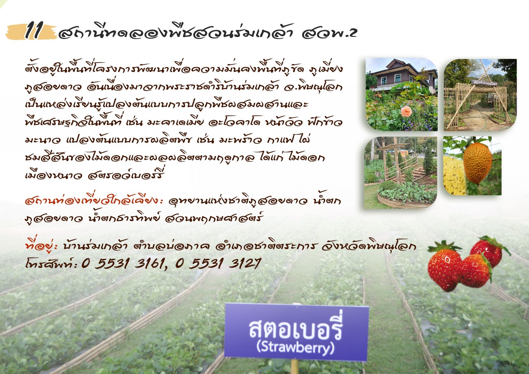 สถานีทดลองพืชสวนร่มเกล้า สวพ.2