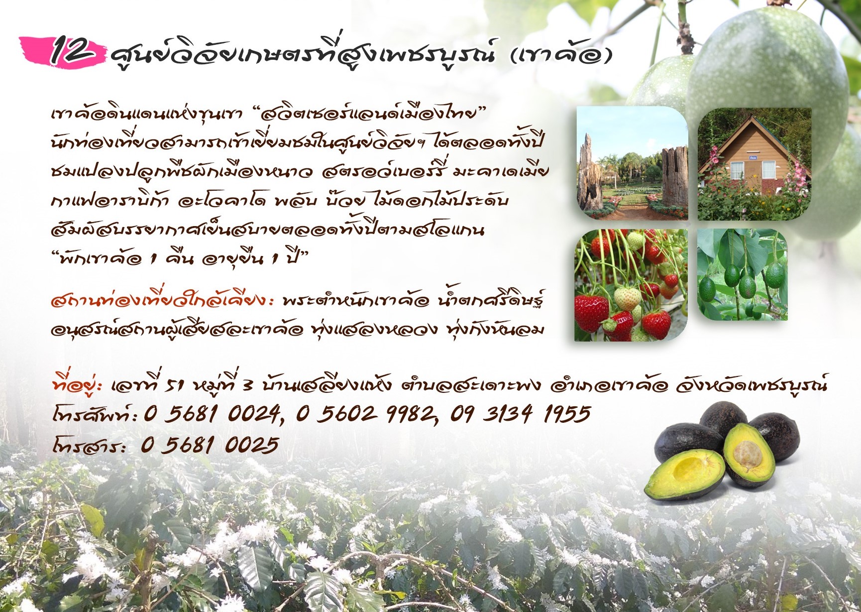 ศูนย์วิจัยเกษตรที่สูงเพชรบูรณ์ (เขาค้อ)