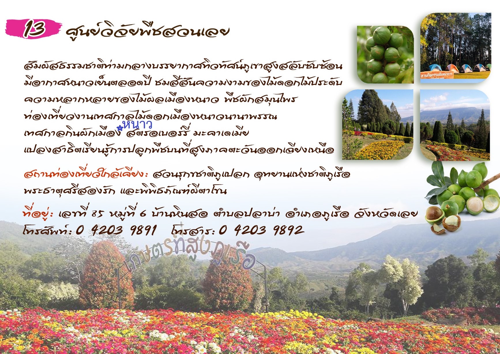 ศูนย์วิจัยพืชสวนเลย