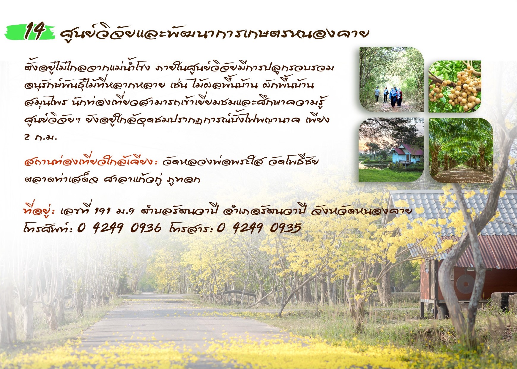 ศูนย์วิจัยและพัฒนาการเกษตรหนองคาย