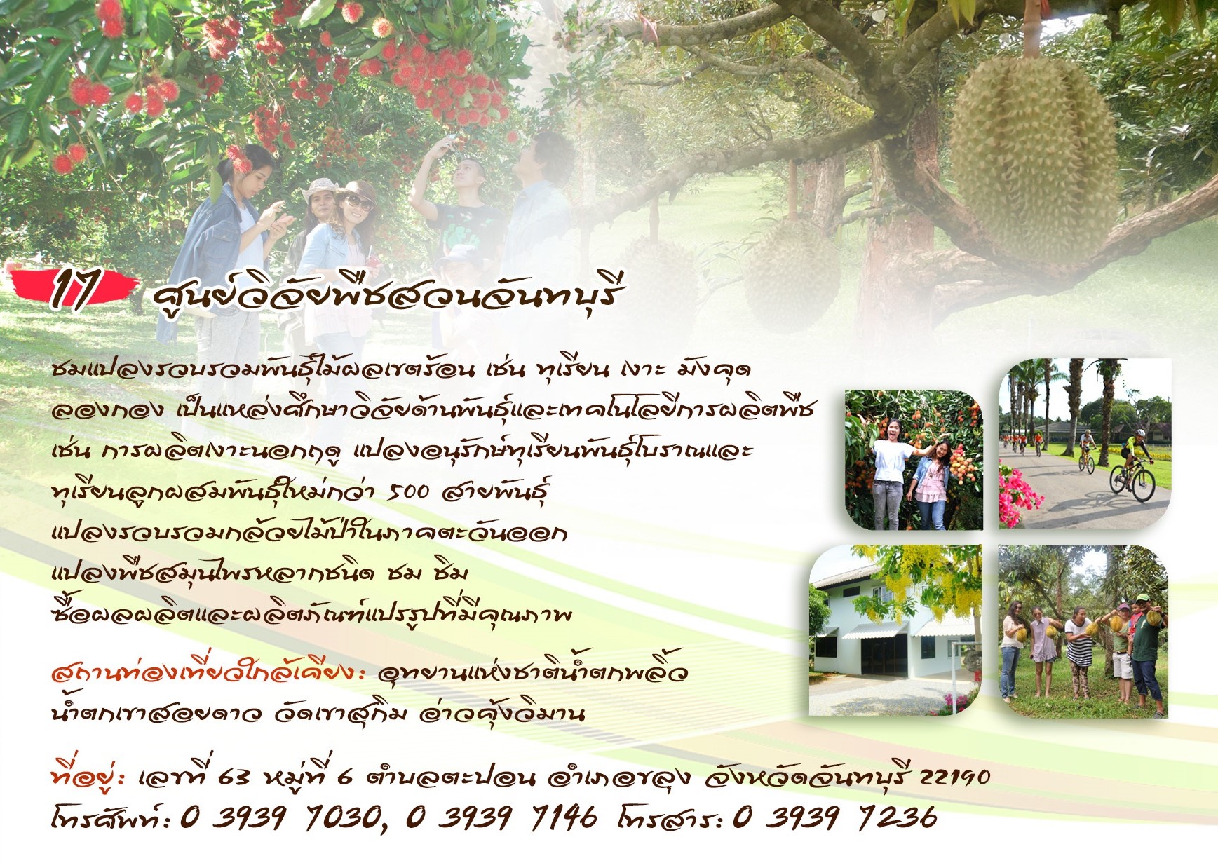 ศูนย์วิจัยพืชสวนจันทบุรี