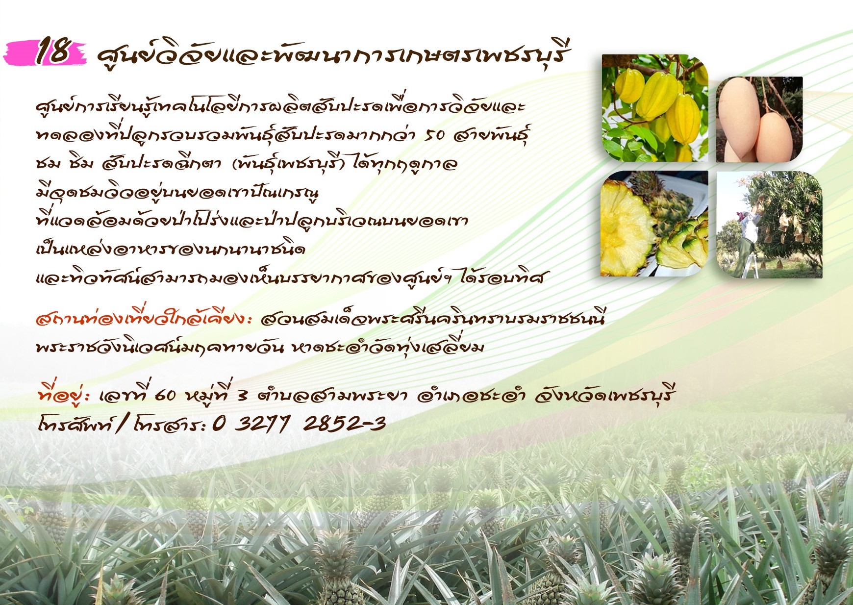 ศูนย์วิจัยและพัฒนาการเกษตรเพชรบุรี