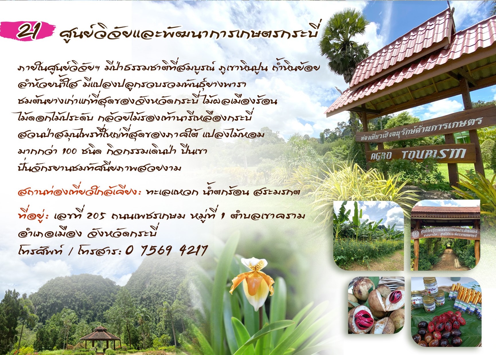 ศูนย์วิจัยและพัฒนาการเกษตรกระบี่