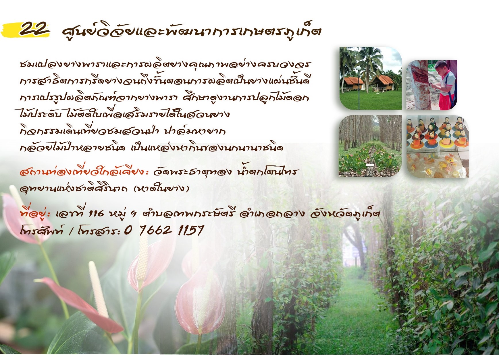 ศูนย์วิจัยและพัฒนาการเกษตรภูเก็ต