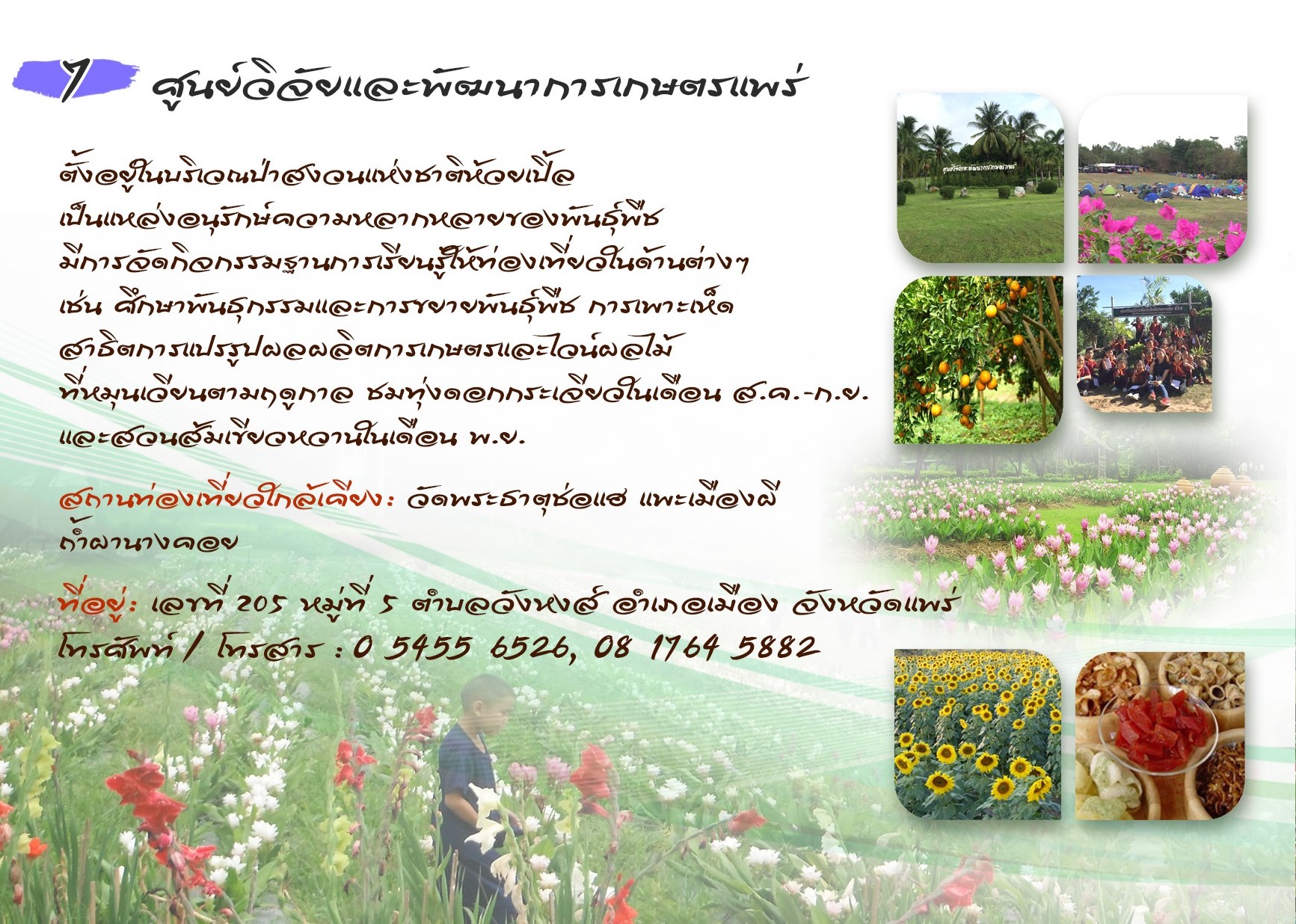 ศูนย์วิจัยและพัฒนาการเกษตรแพร่