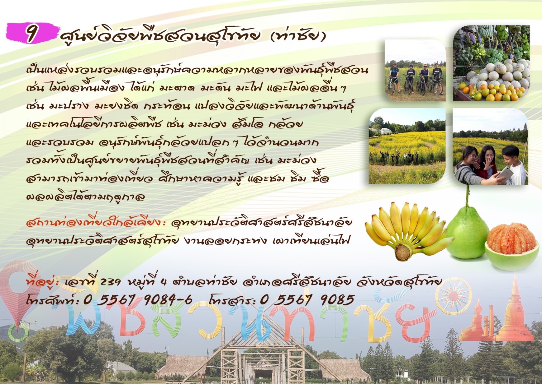 ศูนย์วิจัยพืชสวนสุโขทัย (ท่าชัย)