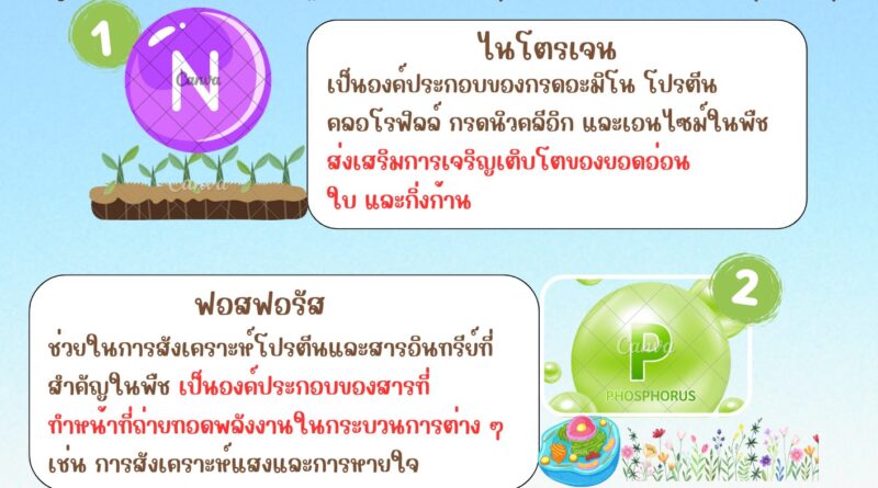 ข่าวประชาสัมพันธ์ เรื่อง 3 ธาตุอาหารหลักนั้น.. สำคัญไฉน (N-P-K)