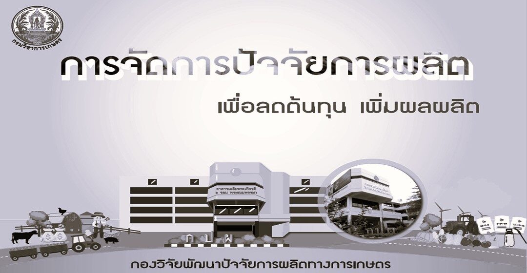 กองวิจัยพัฒนาปัจจัยการผลิตทางการเกษตร