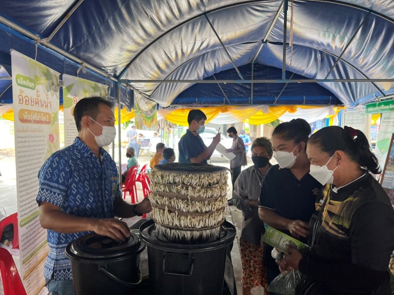 รูปภาพ7