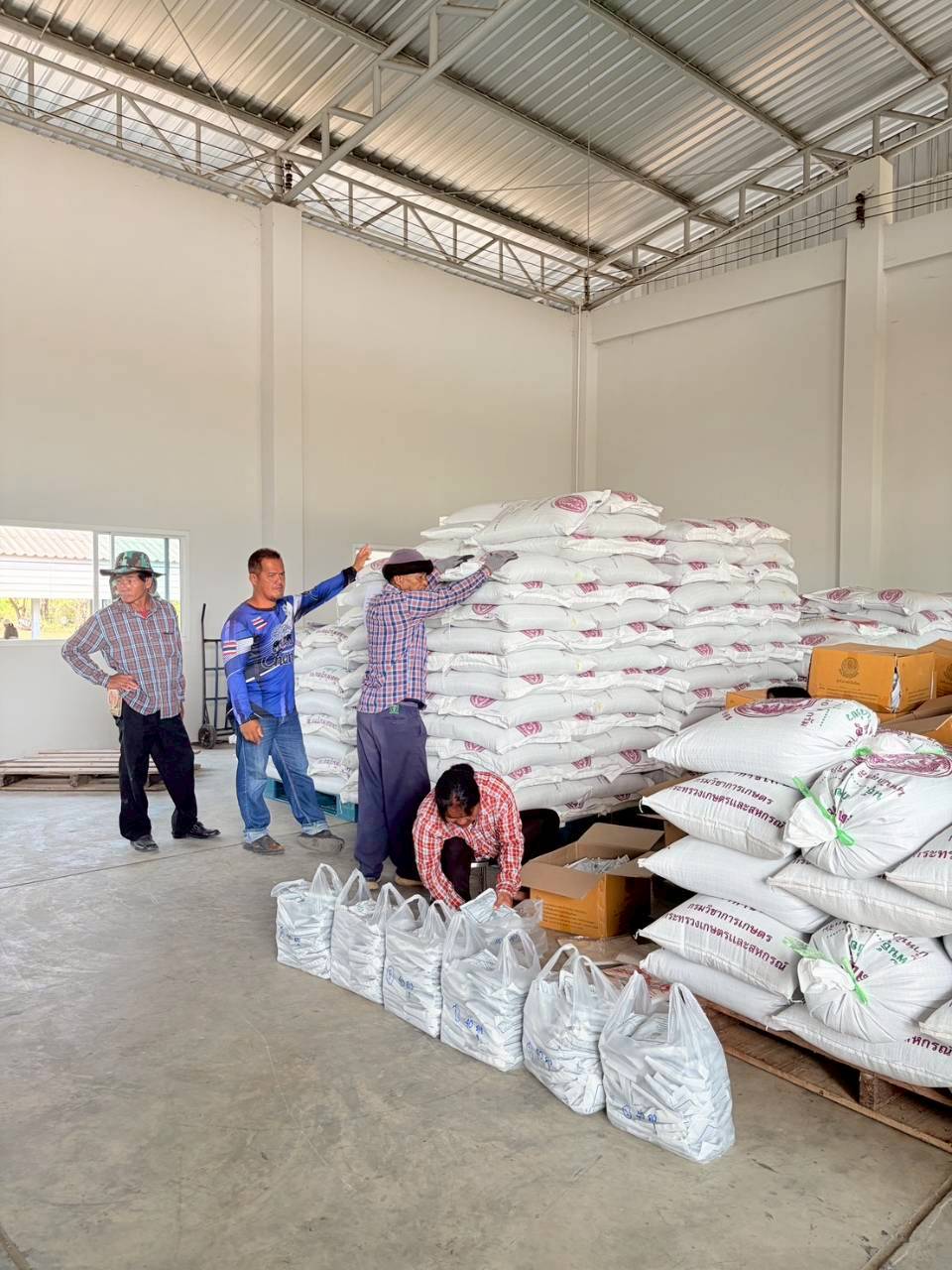 LINE_ALBUM_จำหน่ายเมล็ดพันธุ์_260317_17_0