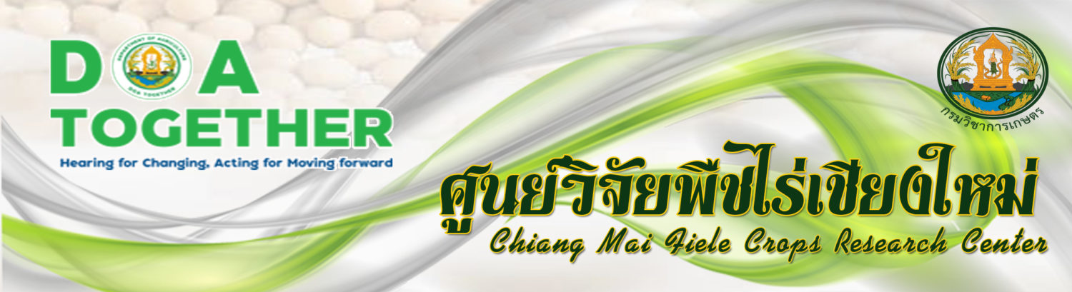 ศูนย์วิจัยพืชไร่เชียงใหม่